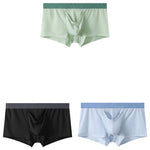 3 Pack Separate Pouch Trunks With Fly Front