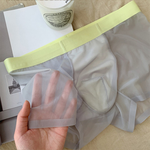 4 Pack Men's 20D U Pouch Sheer Lightweight Ice Silk 3A Antimicrobial Trunks