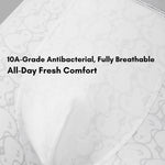 3 Pack Men's Ultra-Soft Cotton Antibacterial Odor-Control Trunks