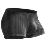 2 Pack Silk Striped Men's Super Thin Underwear