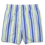Men's Drawstring Leisure Striped Swim Shorts
