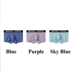 2 Pack Men's Bamboo Fiber Separate Pouch Antibacterial Breathable Briefs