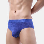 2 Pack Men's Silky Touch Health Briefs