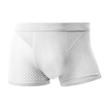 Men's Thin Breathable Mesh Trunks