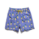 Men’s Striped Print Drawstring Board Shorts