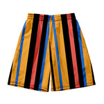Men's Multicolor Stripe Leisure Swim Shorts