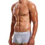 2 Pack Men's Breathable Big Pouch Trunks