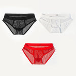 3 Pack Men's Sheer Elegance Mesh Solid Color Low-Rise Stretch Briefs