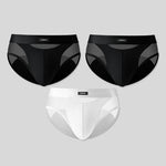 3 Pack Men's Breathable Sexy Lightweight Mesh Panels Briefs