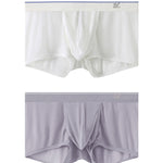 2 Pack Men's Breathable Mesh Trunks with Fly