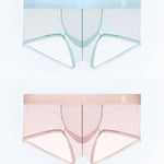 Men’s Sheer Mesh Trunks with U-Shaped Support Pouch
