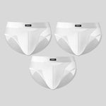 3 Pack Men's Breathable Sexy Lightweight Mesh Panels Briefs
