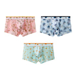 3 Pack Men’s Sexy Printed Mesh Trunks