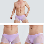 Sexy Panelled Mesh Trunks For Men