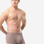 4 Pack Men's Ice Silk Seamless Trunks Underwear