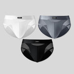 3 Pack Men's Breathable Sexy Lightweight Mesh Panels Briefs