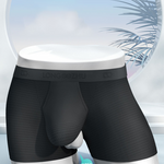 Men's Cooling Separate Pouch Boxer Briefs Dual Pouch Underwear