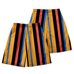 Men's Multicolor Stripe Leisure Swim Shorts