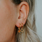 Joanna Lovely Stone Earrings