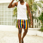 Men's Multicolor Stripe Leisure Swim Shorts