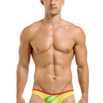 2 Pack Men's Low-rise Vibrant Stripe Bikini