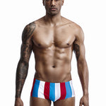 Mens Sexy Breathable Soft Stripe Swim Briefs