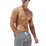 Men's Stripe Drawstring Swim Board Shorts