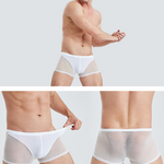 Sexy Panelled Mesh Trunks For Men