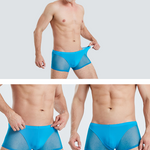 Sexy Panelled Mesh Trunks For Men