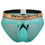 Mens Sexy Mesh Breathable U Convex Pouch Briefs