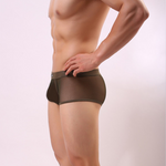 Men's Sexy Transparent Mesh Trunks