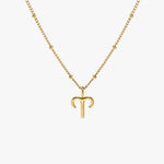 Zodiac Harmony Charm Necklace