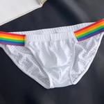 Men's Sexy Rainbow Pride Mesh Bikini