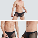 Sexy Panelled Mesh Trunks For Men
