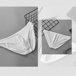 Sexy V-shape Low-rise Threaded Bikini For Men