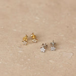 Micro Star Stud Earrings