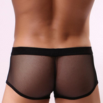 Men's Sexy Transparent Mesh Trunks
