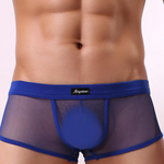 Men's Sexy Transparent Mesh Trunks
