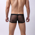 Men's Sexy Transparent Mesh Trunks