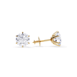 Chic White Gold Tera Earrings