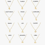 Zodiac Harmony Charm Necklace